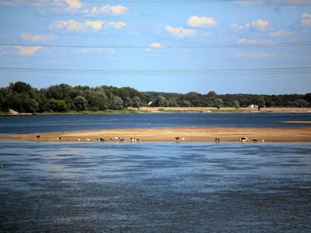 Dopływy Wisły: Które rzeki tworzą jej potęgę?