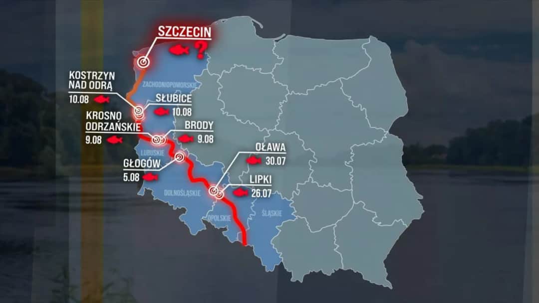 Gdzie rodzi się Odra? Przewodnik po źródłach i okolicznych atrakcjach